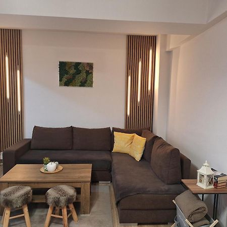 Angel Apartament Sibiu Eksteriør billede