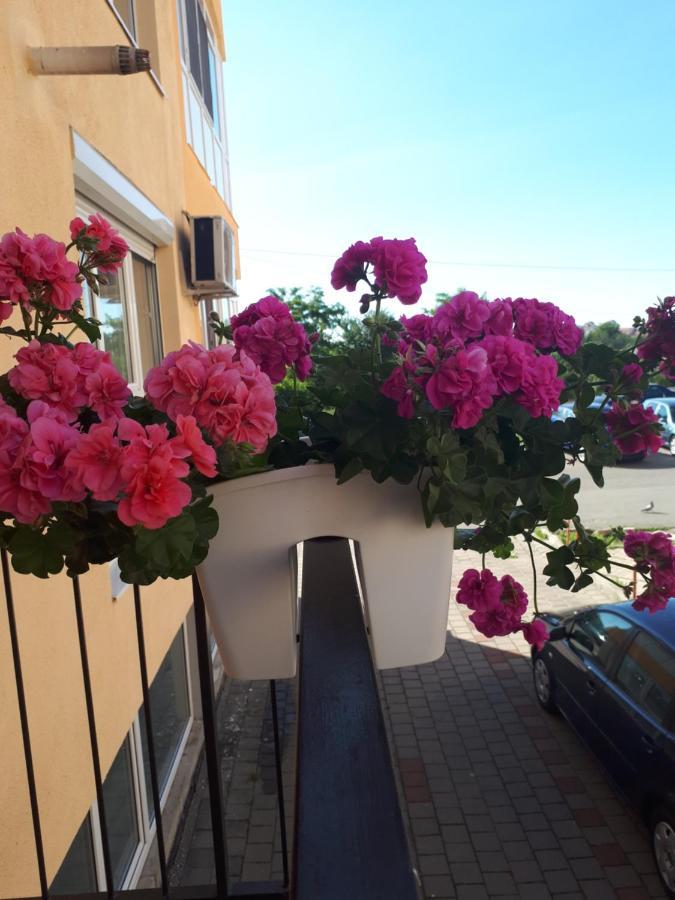 Angel Apartament Sibiu Eksteriør billede