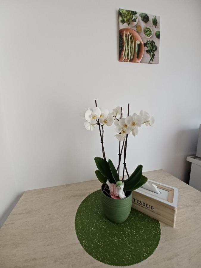 Angel Apartament Sibiu Eksteriør billede