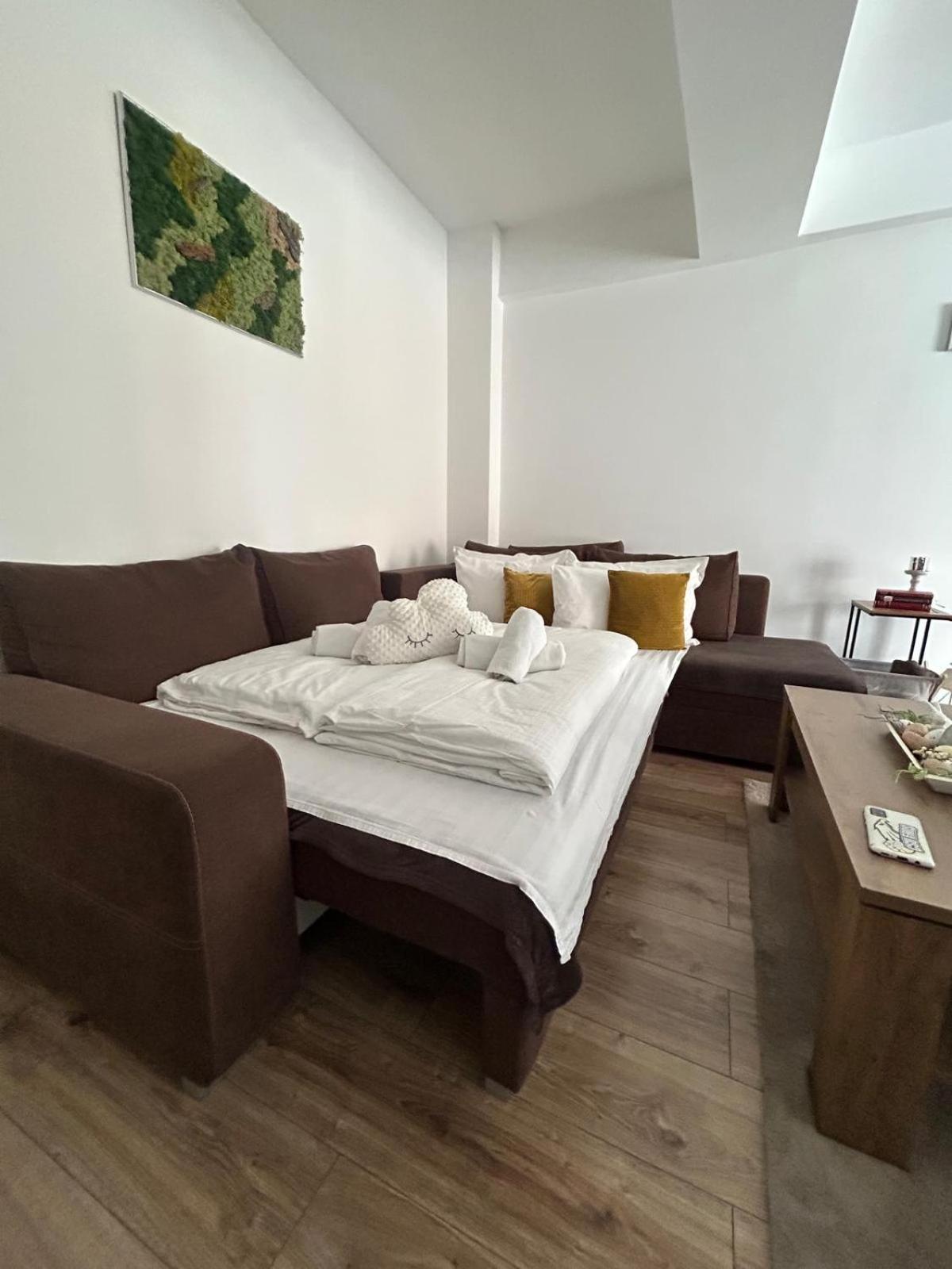 Angel Apartament Sibiu Eksteriør billede