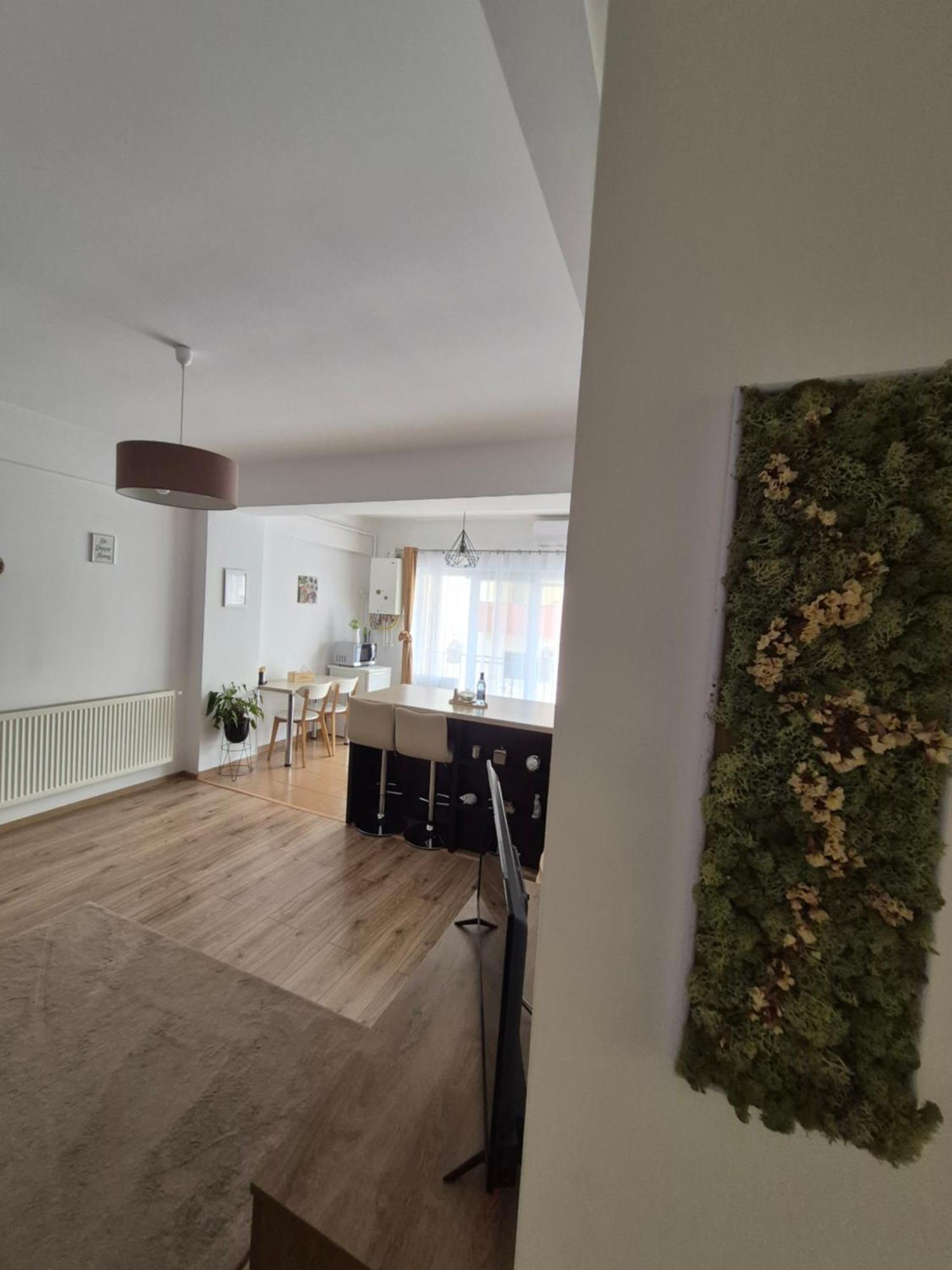Angel Apartament Sibiu Eksteriør billede
